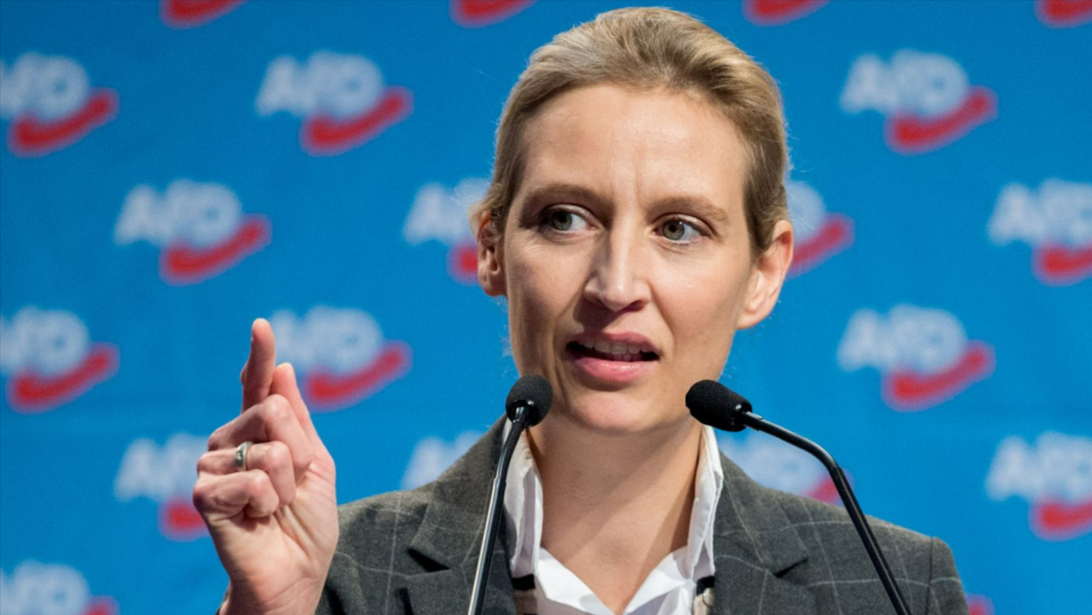 Ohrfeige von Alice Weigel für Friedrich Merz! Hat die CDU das Wahlprogramm der AFD geklaut?
