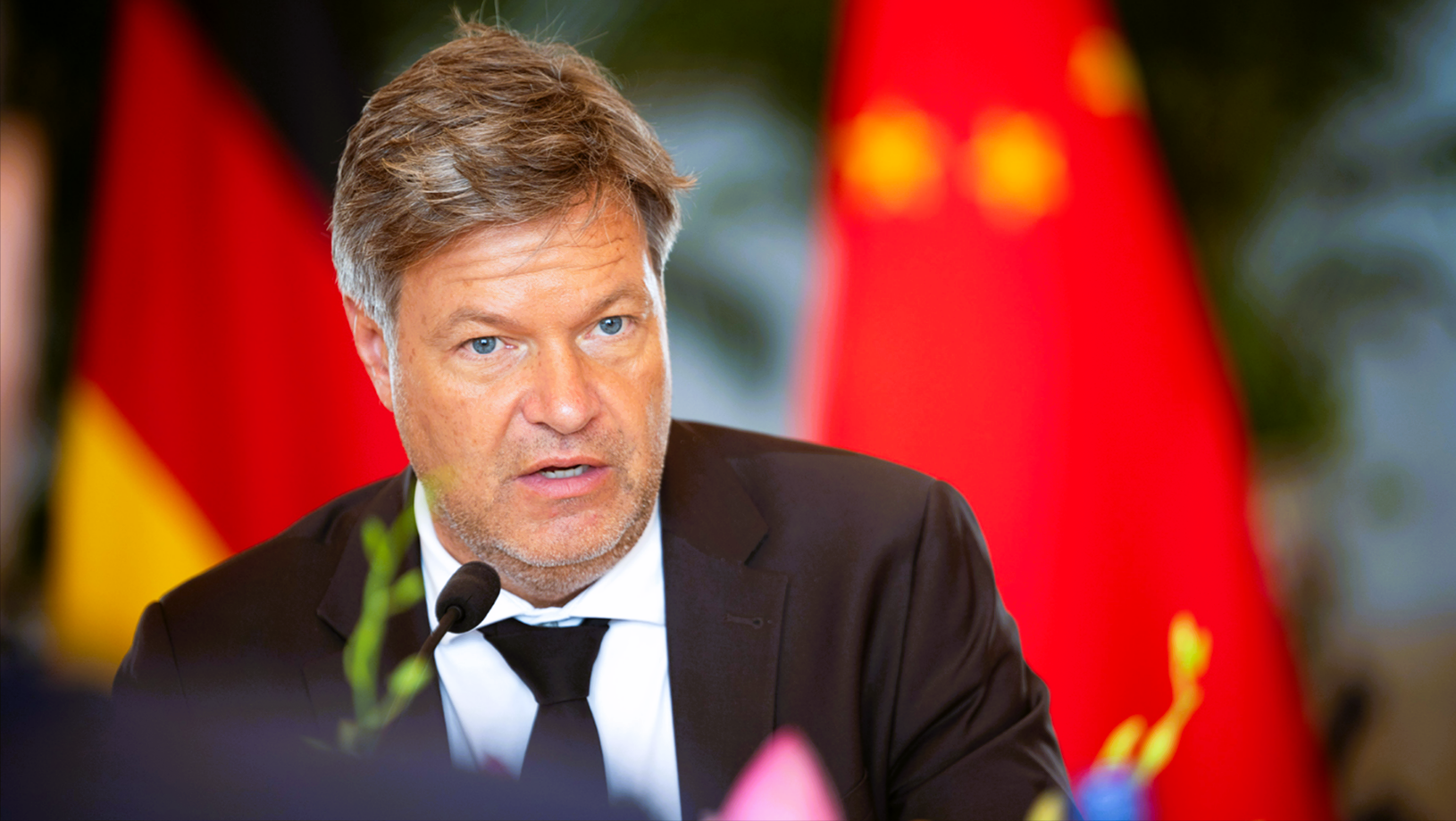 Aufstand gegen Habecks! Deutschlands Wirtschaft geht auf die Barrikaden wegen Solar-Plan