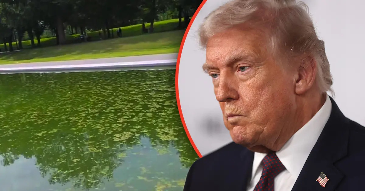 Trump's $14M Reflecting Pool Turns Green Days After Blue Makeover